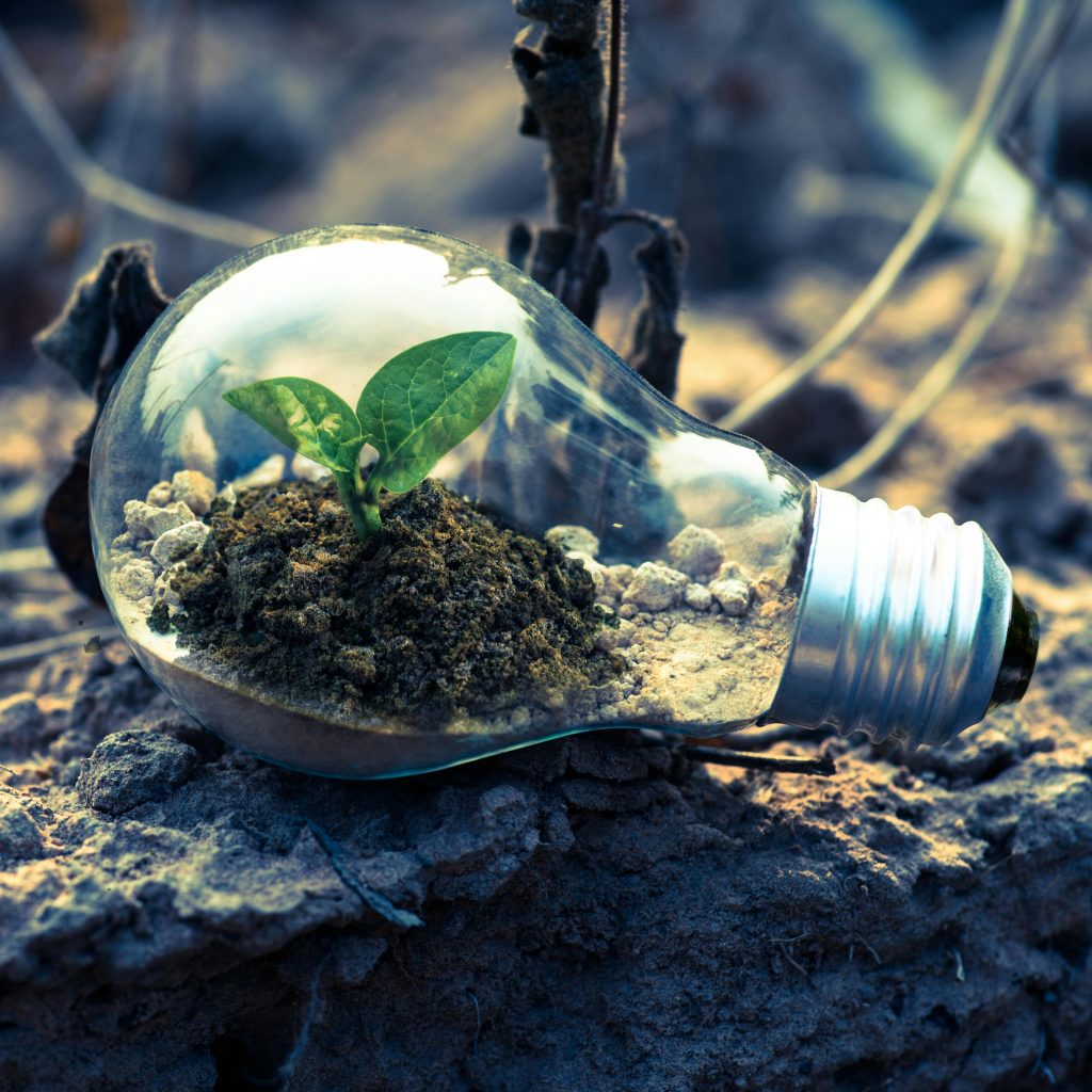 The Critical Role of Environmental Liability Insurance in Today’s Eco-conscious Market