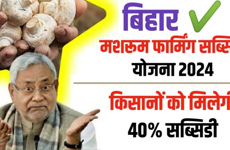 Bihar Mushroom Farming Subsidy Yojana 2024: बिहार सरकार मशरूम किसानो को देगी सब्सिडी, ऐसे करे आवेदन